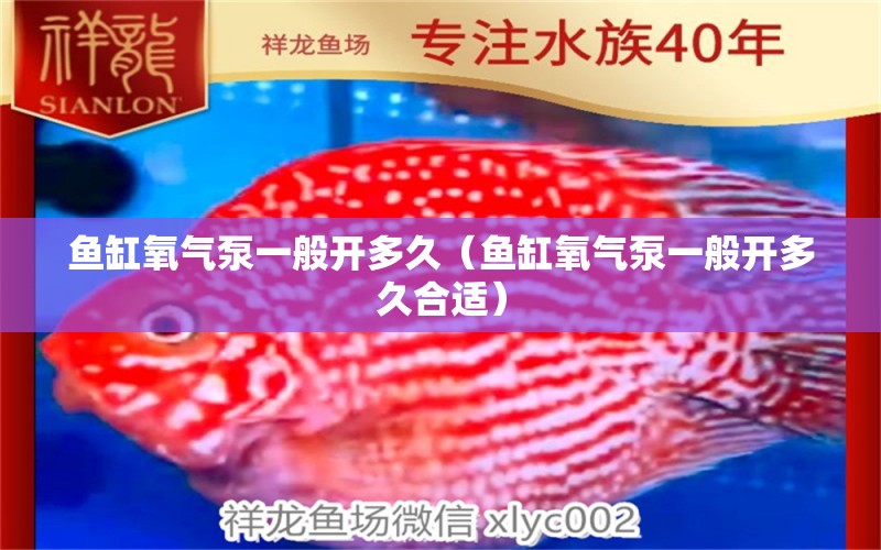 魚(yú)缸氧氣泵一般開(kāi)多久（魚(yú)缸氧氣泵一般開(kāi)多久合適） 觀賞魚(yú)批發(fā)