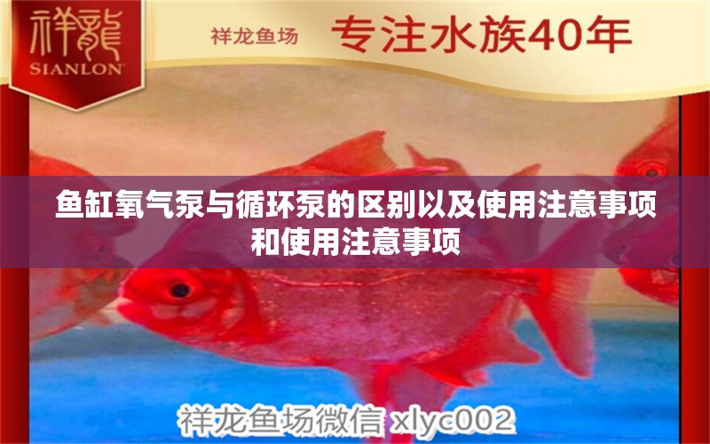 魚(yú)缸氧氣泵與循環(huán)泵的區(qū)別以及使用注意事項(xiàng)和使用注意事項(xiàng)