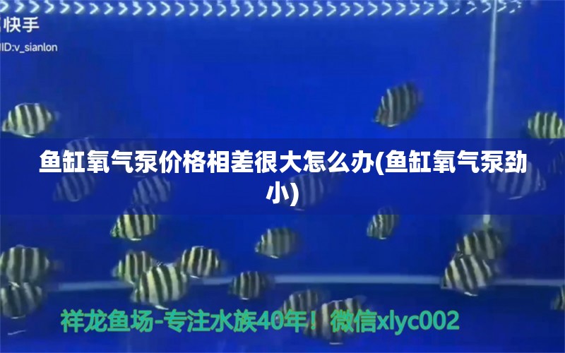 魚缸氧氣泵價(jià)格相差很大怎么辦(魚缸氧氣泵勁小) 和尚魚