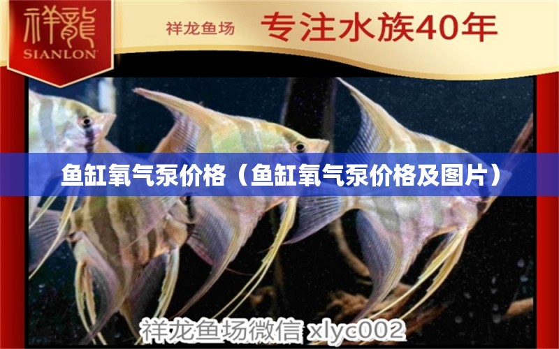 魚缸氧氣泵價(jià)格（魚缸氧氣泵價(jià)格及圖片） 銀河星鉆魚