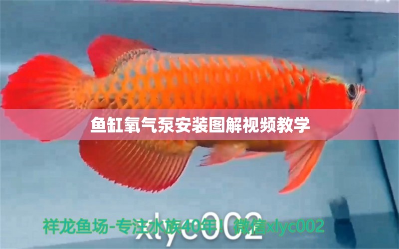 魚缸氧氣泵安裝圖解視頻教學(xué)