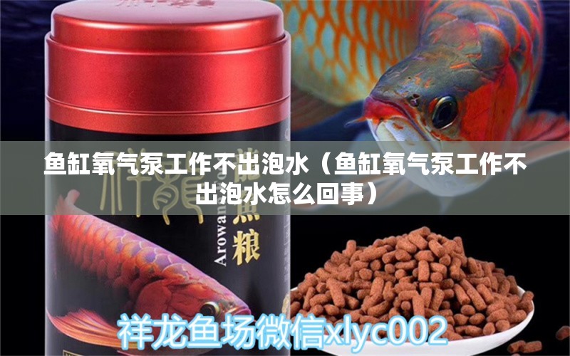 魚缸氧氣泵工作不出泡水（魚缸氧氣泵工作不出泡水怎么回事）