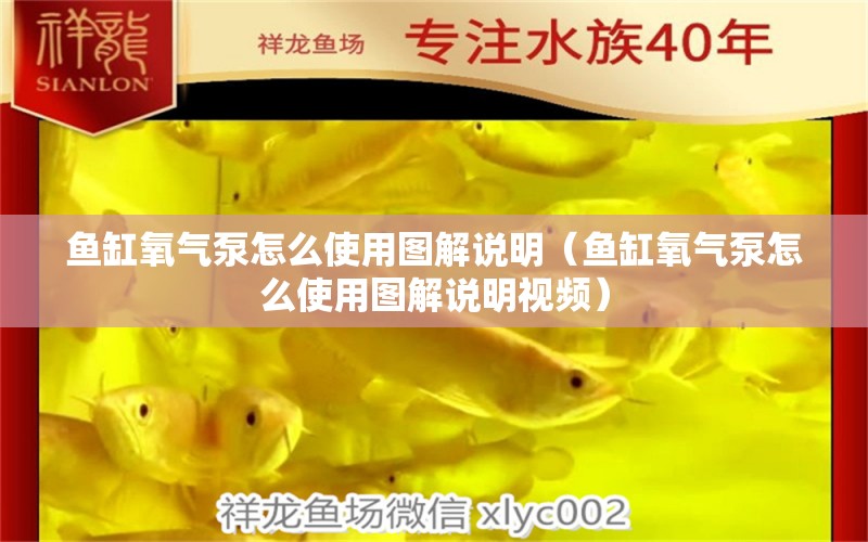 魚缸氧氣泵怎么使用圖解說明（魚缸氧氣泵怎么使用圖解說明視頻） 祥龍水族醫(yī)院