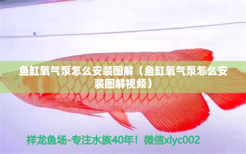 魚缸氧氣泵怎么安裝圖解（魚缸氧氣泵怎么安裝圖解視頻）