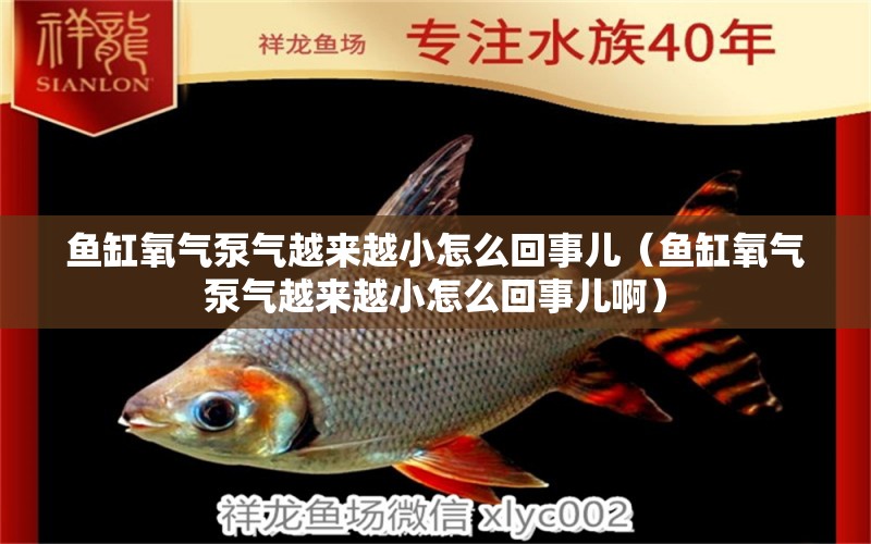 魚缸氧氣泵氣越來越小怎么回事兒（魚缸氧氣泵氣越來越小怎么回事兒?。? title=