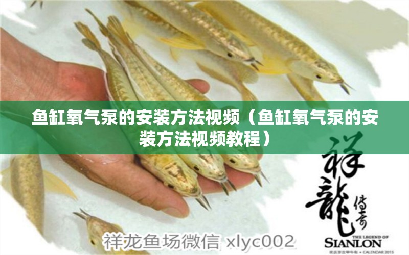 魚缸氧氣泵的安裝方法視頻（魚缸氧氣泵的安裝方法視頻教程）