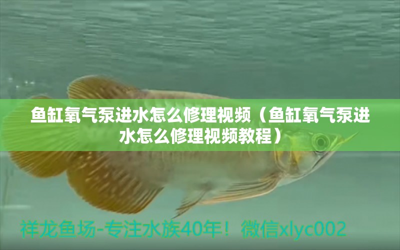 魚(yú)缸氧氣泵進(jìn)水怎么修理視頻（魚(yú)缸氧氣泵進(jìn)水怎么修理視頻教程）