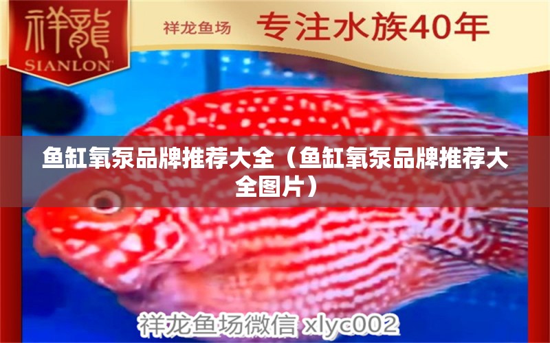 魚缸氧泵品牌推薦大全（魚缸氧泵品牌推薦大全圖片）