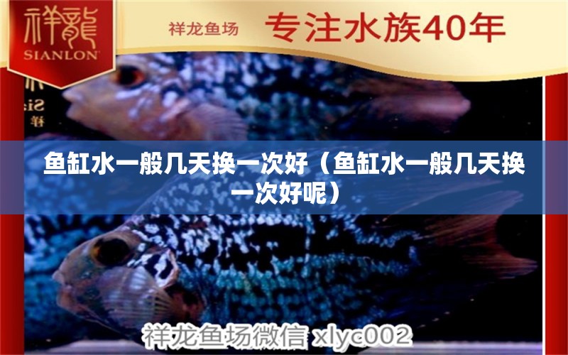 魚缸水一般幾天換一次好（魚缸水一般幾天換一次好呢）