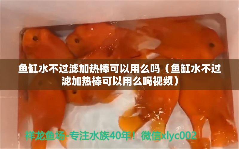 魚缸水不過濾加熱棒可以用么嗎（魚缸水不過濾加熱棒可以用么嗎視頻） 黑白雙星魚