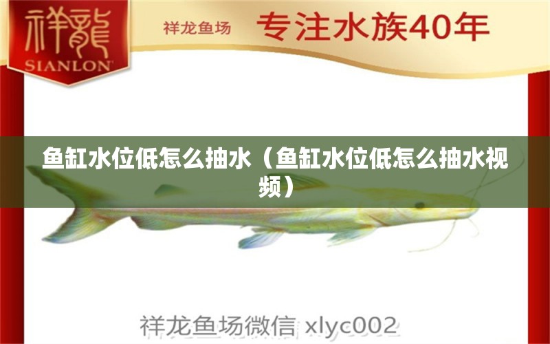 魚缸水位低怎么抽水（魚缸水位低怎么抽水視頻） 薩伊藍(lán)魚