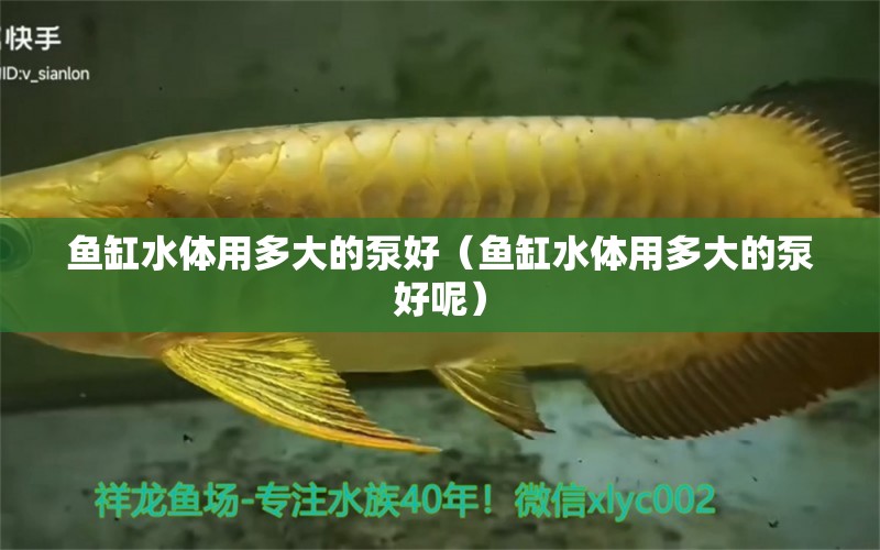 魚缸水體用多大的泵好（魚缸水體用多大的泵好呢）