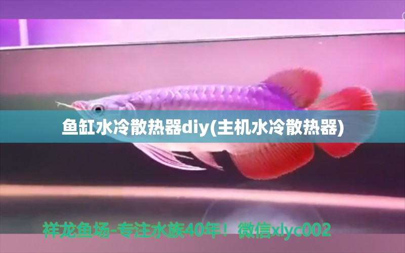 魚缸水冷散熱器diy(主機(jī)水冷散熱器) 賽級紅龍魚