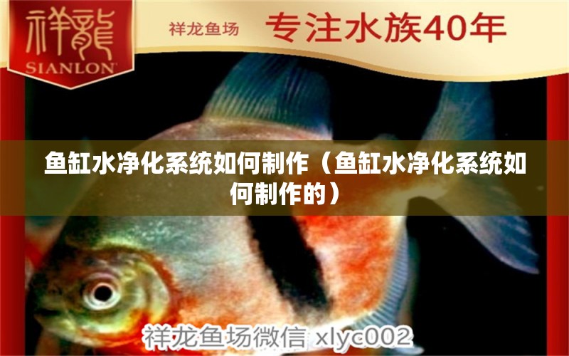 魚缸水凈化系統(tǒng)如何制作（魚缸水凈化系統(tǒng)如何制作的）