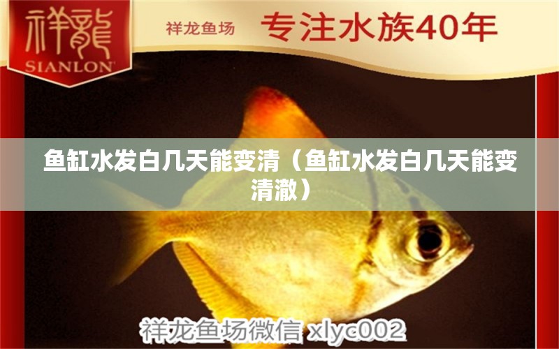 魚缸水發(fā)白幾天能變清（魚缸水發(fā)白幾天能變清澈）