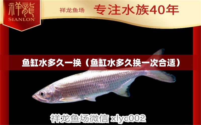 魚缸水多久一換（魚缸水多久換一次合適）