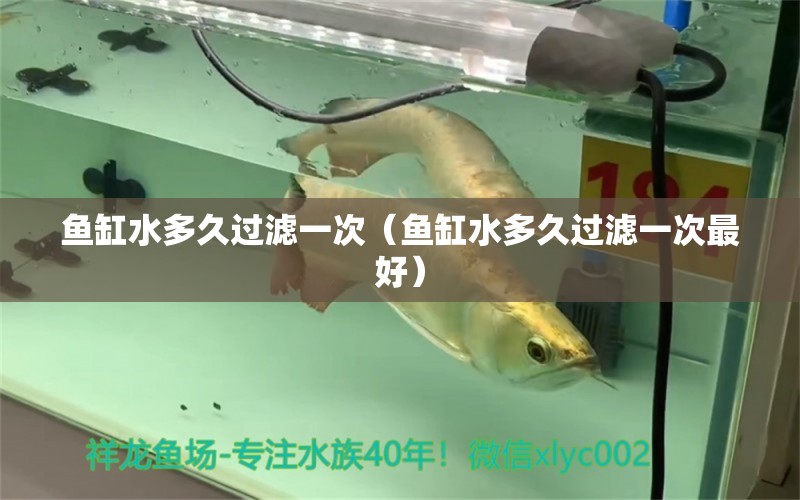 魚(yú)缸水多久過(guò)濾一次（魚(yú)缸水多久過(guò)濾一次最好） 其他品牌魚(yú)缸