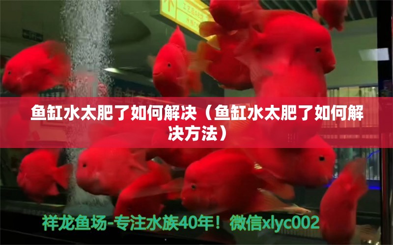 魚缸水太肥了如何解決（魚缸水太肥了如何解決方法）