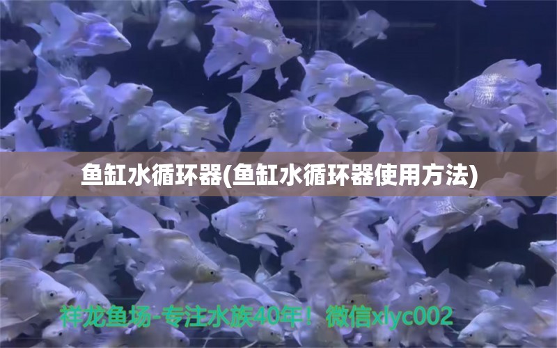 魚缸水循環(huán)器(魚缸水循環(huán)器使用方法)