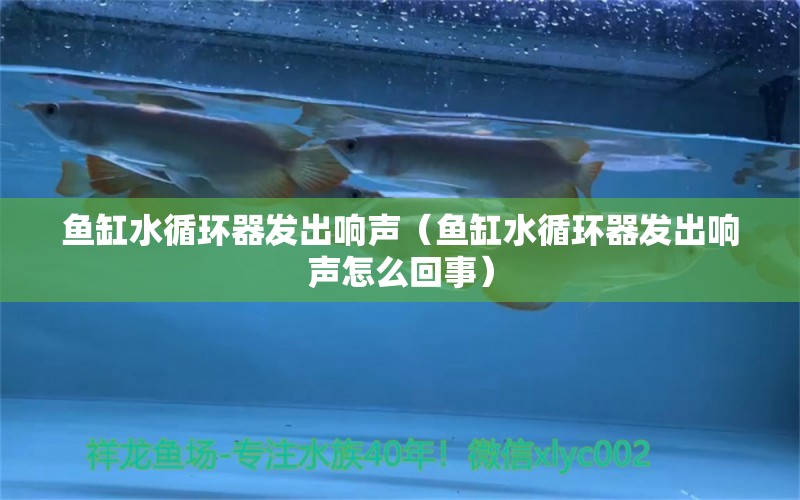 魚缸水循環(huán)器發(fā)出響聲（魚缸水循環(huán)器發(fā)出響聲怎么回事）