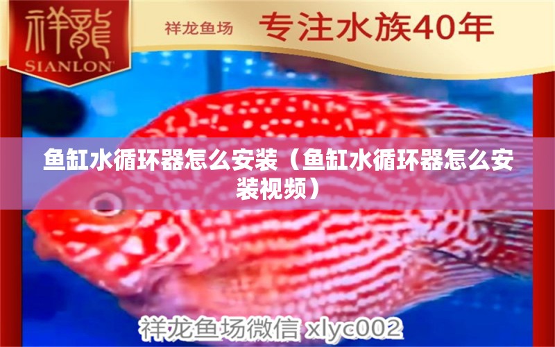 魚缸水循環(huán)器怎么安裝（魚缸水循環(huán)器怎么安裝視頻） 其他品牌魚缸