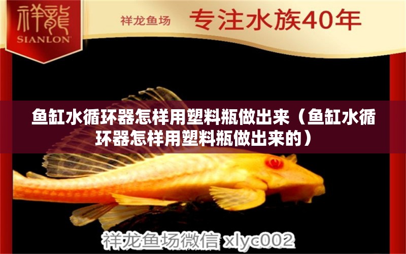 魚缸水循環(huán)器怎樣用塑料瓶做出來（魚缸水循環(huán)器怎樣用塑料瓶做出來的）