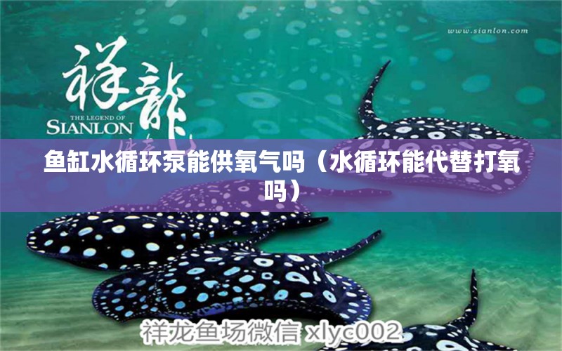 魚缸水循環(huán)泵能供氧氣嗎（水循環(huán)能代替打氧嗎）