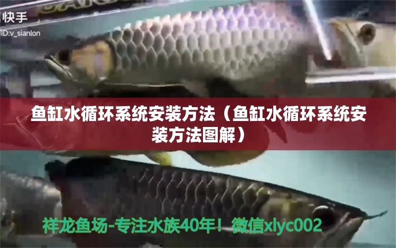 魚缸水循環(huán)系統(tǒng)安裝方法（魚缸水循環(huán)系統(tǒng)安裝方法圖解）