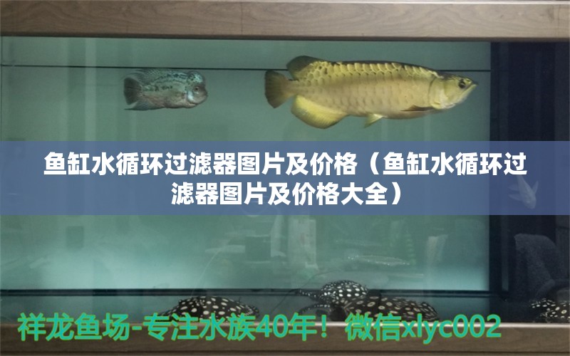 魚缸水循環(huán)過濾器圖片及價格（魚缸水循環(huán)過濾器圖片及價格大全）