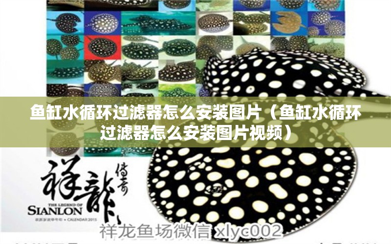 魚缸水循環(huán)過濾器怎么安裝圖片（魚缸水循環(huán)過濾器怎么安裝圖片視頻） 其他品牌魚缸