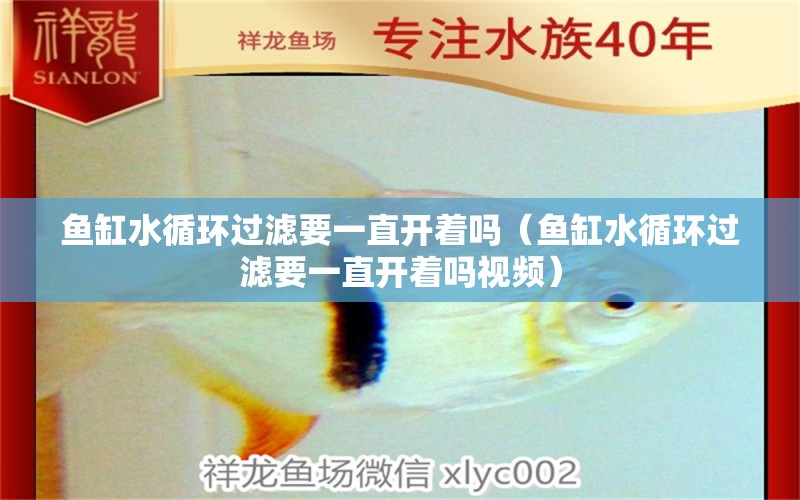 魚(yú)缸水循環(huán)過(guò)濾要一直開(kāi)著嗎（魚(yú)缸水循環(huán)過(guò)濾要一直開(kāi)著嗎視頻） 其他品牌魚(yú)缸