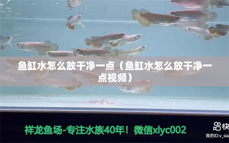 魚缸水怎么放干凈一點(diǎn)（魚缸水怎么放干凈一點(diǎn)視頻） 水族維護(hù)服務(wù)（上門）