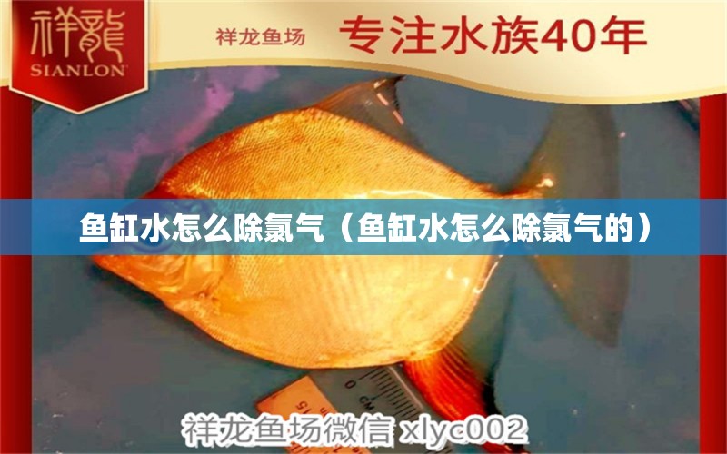 魚缸水怎么除氯氣（魚缸水怎么除氯氣的）