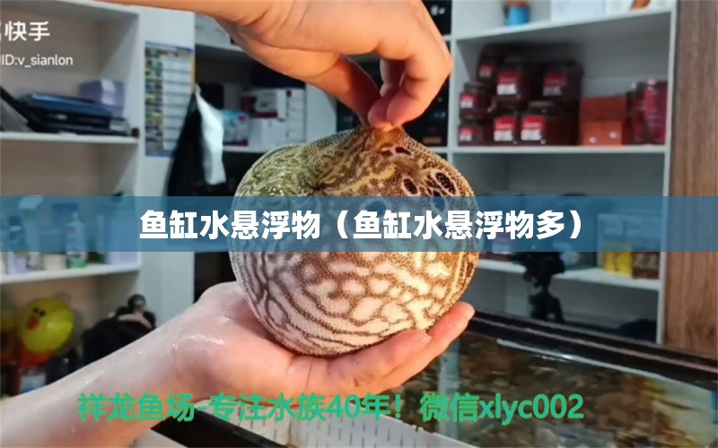 魚缸水懸浮物（魚缸水懸浮物多）