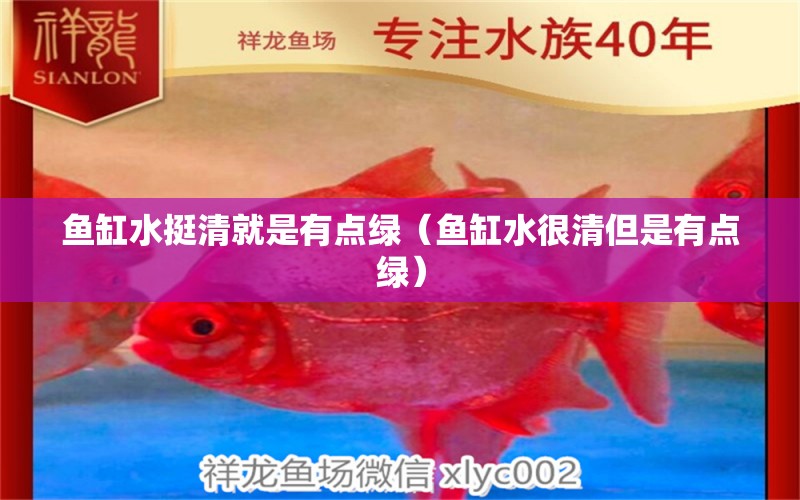 魚缸水挺清就是有點綠（魚缸水很清但是有點綠）