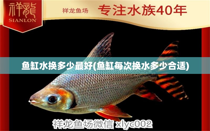 魚缸水換多少最好(魚缸每次換水多少合適)