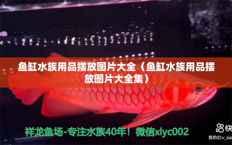 魚(yú)缸水族用品擺放圖片大全（魚(yú)缸水族用品擺放圖片大全集）