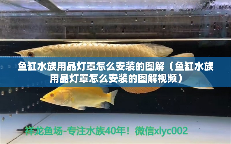 魚(yú)缸水族用品燈罩怎么安裝的圖解（魚(yú)缸水族用品燈罩怎么安裝的圖解視頻） 水族用品