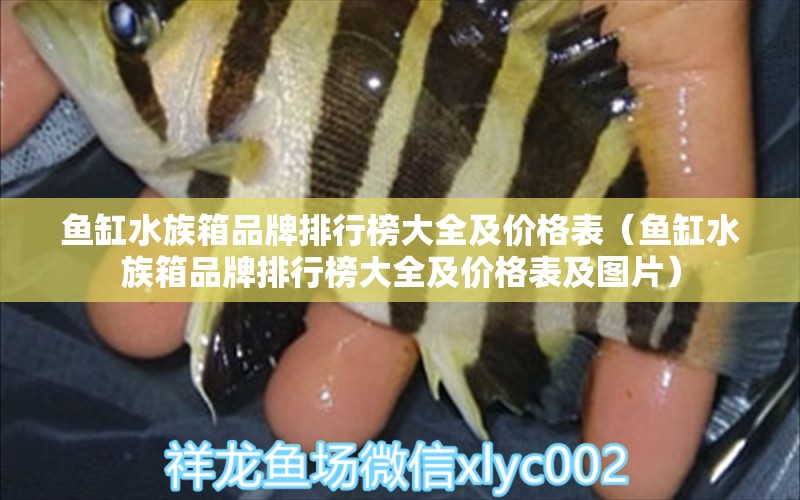 魚缸水族箱品牌排行榜大全及價(jià)格表（魚缸水族箱品牌排行榜大全及價(jià)格表及圖片）