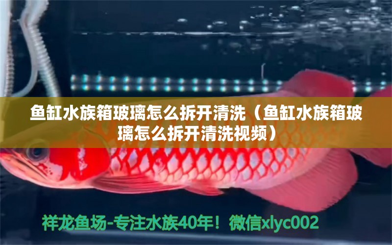 魚缸水族箱玻璃怎么拆開清洗（魚缸水族箱玻璃怎么拆開清洗視頻） 魚缸/水族箱