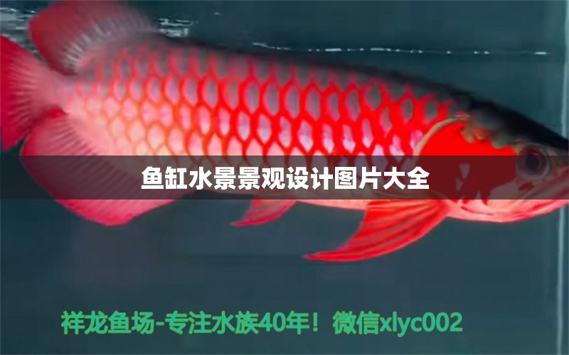 魚(yú)缸水景景觀設(shè)計(jì)圖片大全 廣州景觀設(shè)計(jì)