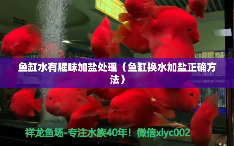 魚缸水有腥味加鹽處理（魚缸換水加鹽正確方法）