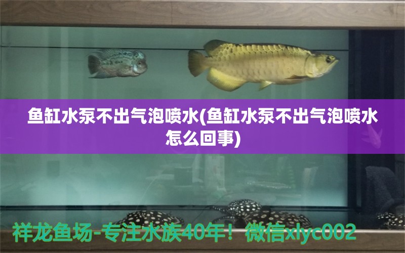 魚缸水泵不出氣泡噴水(魚缸水泵不出氣泡噴水怎么回事) 魚缸水泵