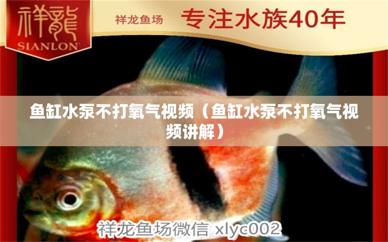 魚缸水泵不打氧氣視頻（魚缸水泵不打氧氣視頻講解）