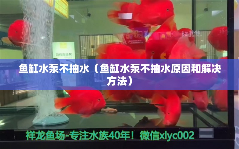 魚缸水泵不抽水（魚缸水泵不抽水原因和解決方法）