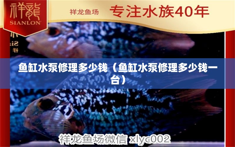 魚缸水泵修理多少錢（魚缸水泵修理多少錢一臺）