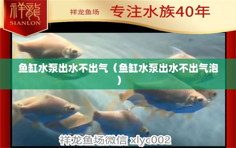 魚缸水泵出水不出氣（魚缸水泵出水不出氣泡） 魚缸水泵