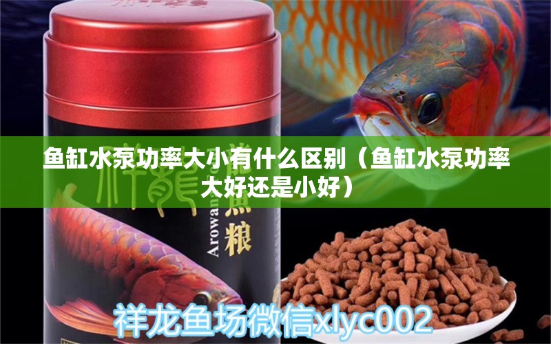 魚缸水泵功率大小有什么區(qū)別（魚缸水泵功率大好還是小好） 魚缸水泵