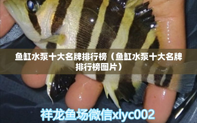 魚缸水泵十大名牌排行榜（魚缸水泵十大名牌排行榜圖片） 魚缸水泵