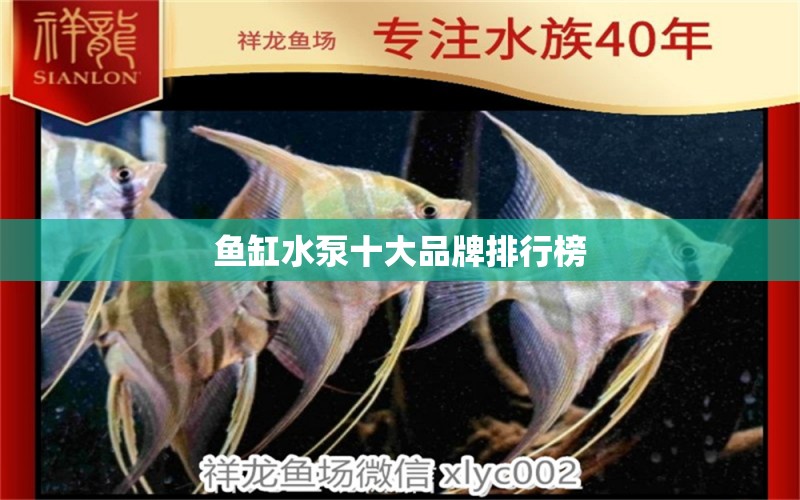 魚缸水泵十大品牌排行榜 魚缸水泵